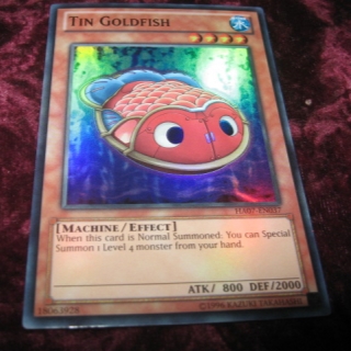 TIN GOLDFISH HA07-EN037