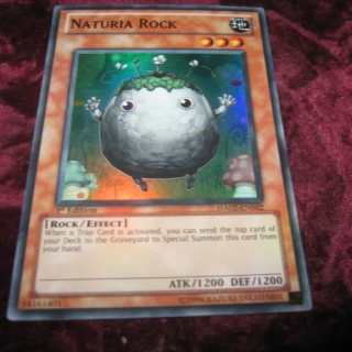 NATURIA ROCK HA02-EN002