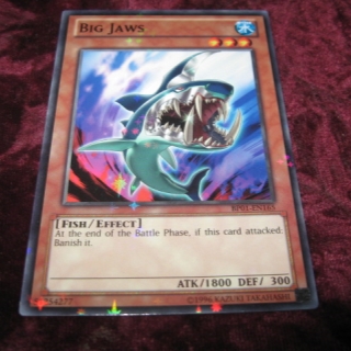 BIG JAWS BP01-EN165
