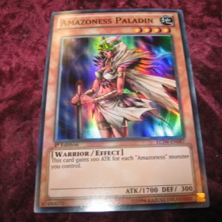 AMAZONESS PALADIN LCJW-EN087