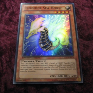 THUNDER SEA HORSE CT10-EN016