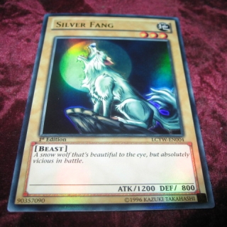 SILVER FANG LCYW-EN004