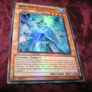 SACRED SPIRIT OF THE ICE BARRIER HA04-EN024