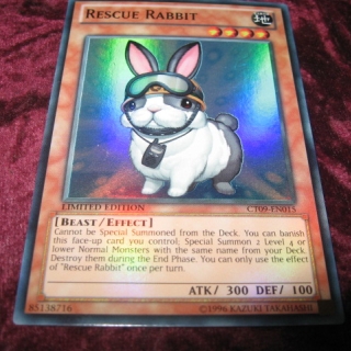 RESCUE RABBIT CT09-EN015