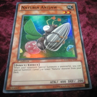 NATURIA ANTJAW HA02-EN039