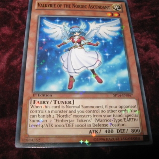 VALKYRIE OF THE NORDIC ASCENDANT SP14-EN047