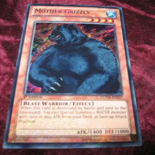 MOTHER GRIZZLY LCYW-EN237