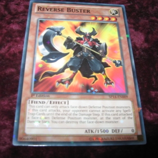 REVERSE BUSTER SP14-EN009