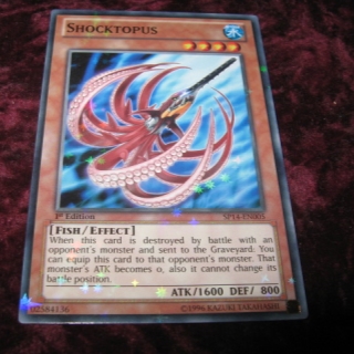 SHOCKTOPUS SP14-EN005