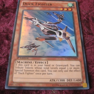 DUCK FIGHTER LTGY-EN099