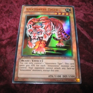 AMAZONESS TIGER LCJW-EN089