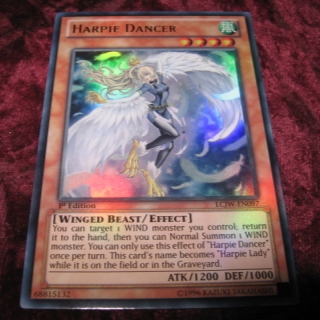 HARPIE DANCER LCJW-EN097