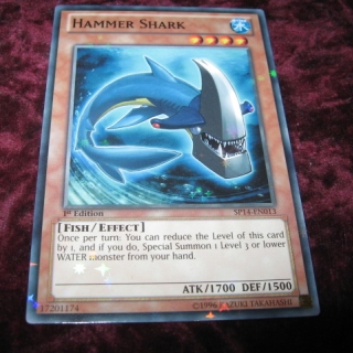 HAMMER SHARK SP14-EN013