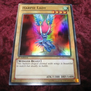 HARPIE LADY LCJW-EN082