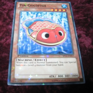 TIN GOLDFISH SP14-EN017