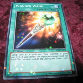 WONDER WAND (F) SP13-EN032