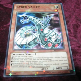 CYBER VALLEY BP01-EN197