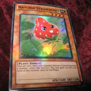 NATURIA STRAWBERRY HA04-EN021