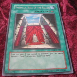 VALHALLA , HALL OF THE FALLEN PP02-EN020